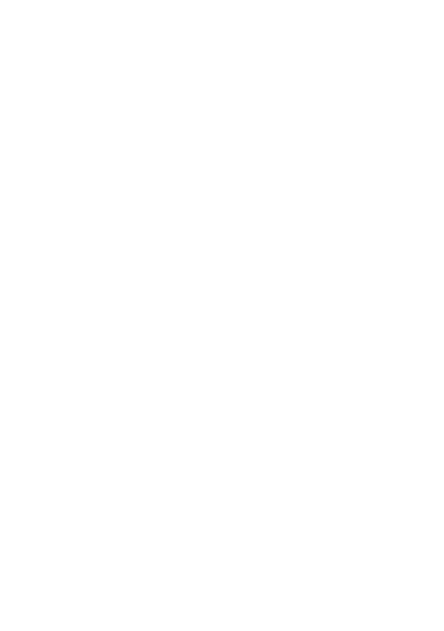MAGNI Premier